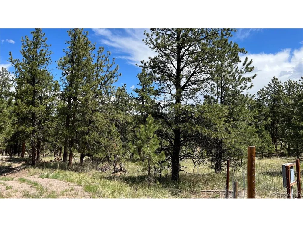 207 Little Bear Drive Westcliffe, CO 81252