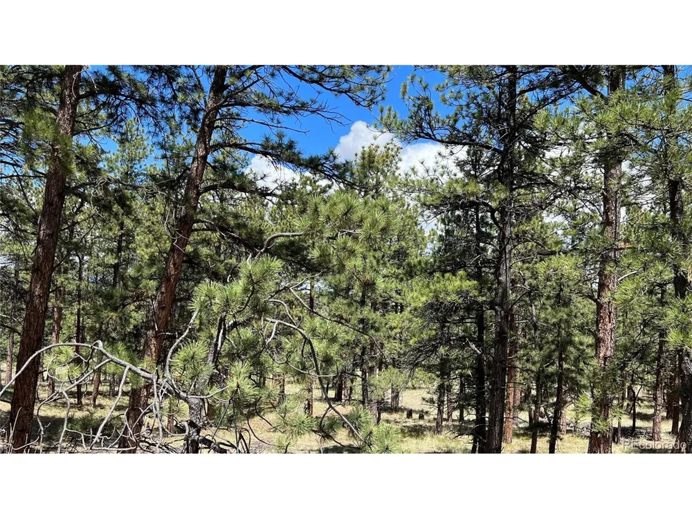 207 Little Bear Drive Westcliffe, CO 81252