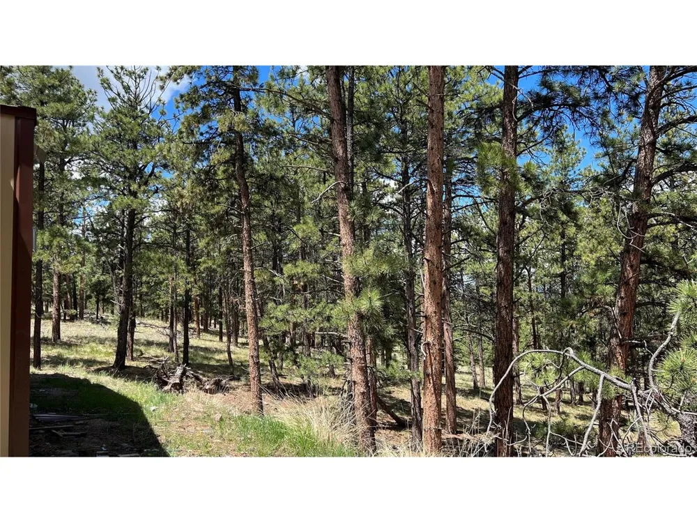 207 Little Bear Drive Westcliffe, CO 81252