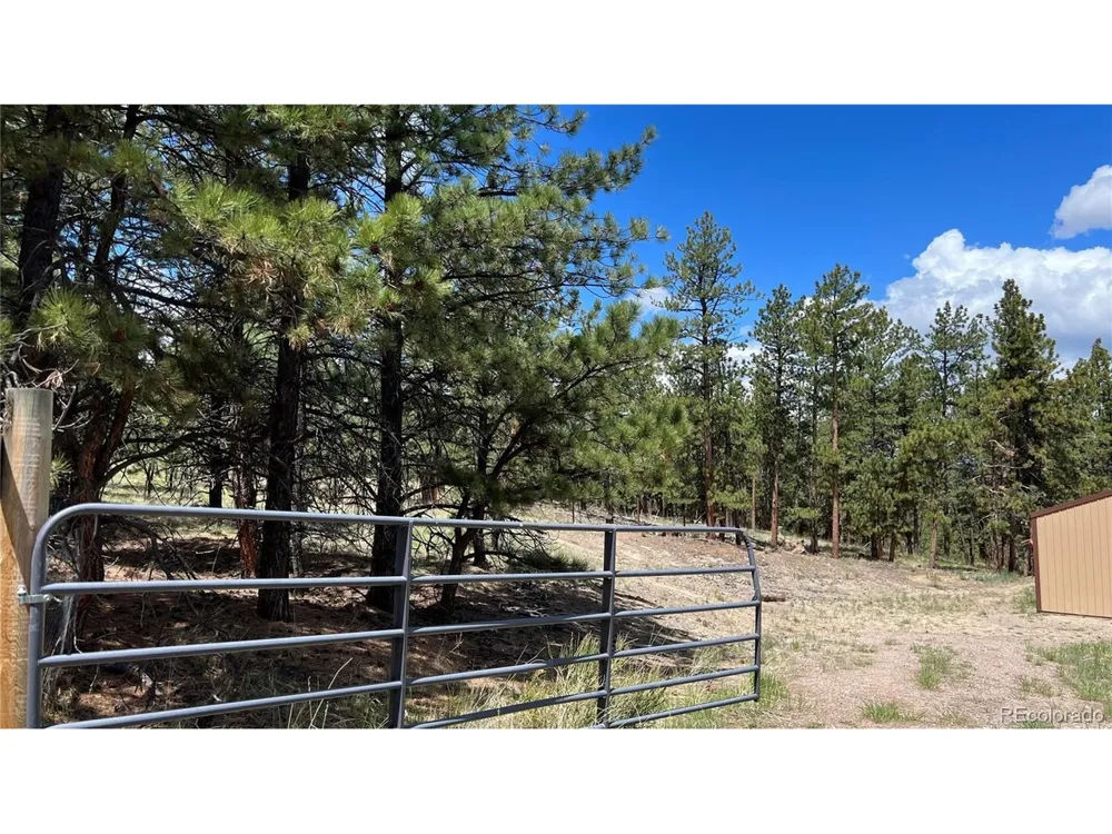 207 Little Bear Drive Westcliffe, CO 81252