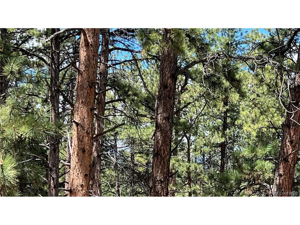 207 Little Bear Drive Westcliffe, CO 81252