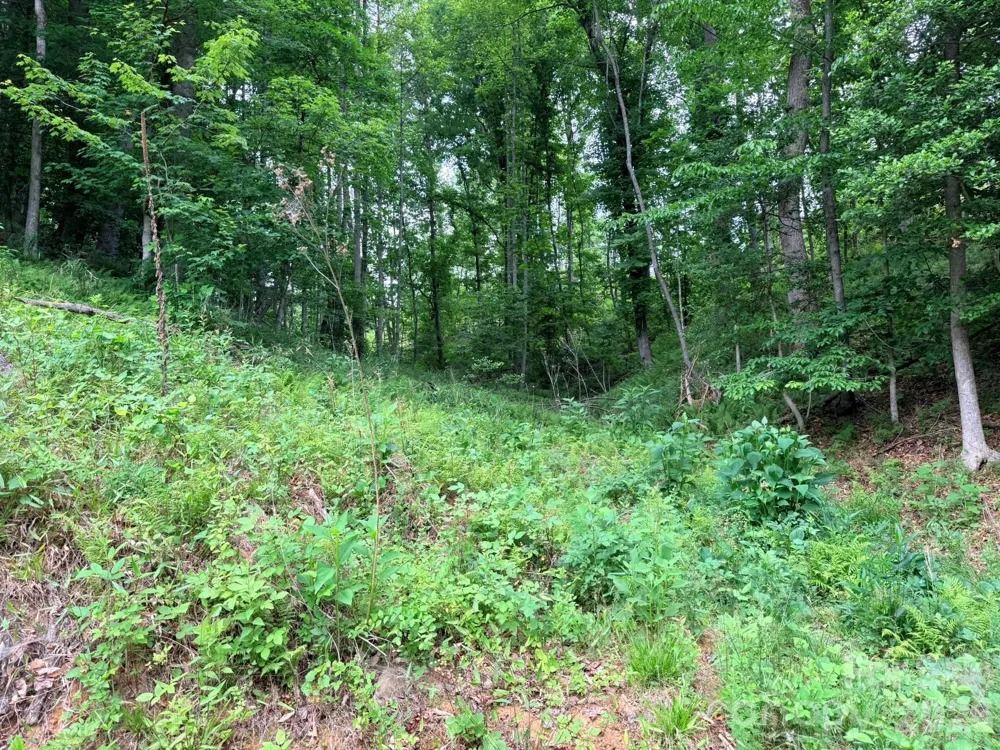 TBD Marley Ford Road Ferguson, NC 28624