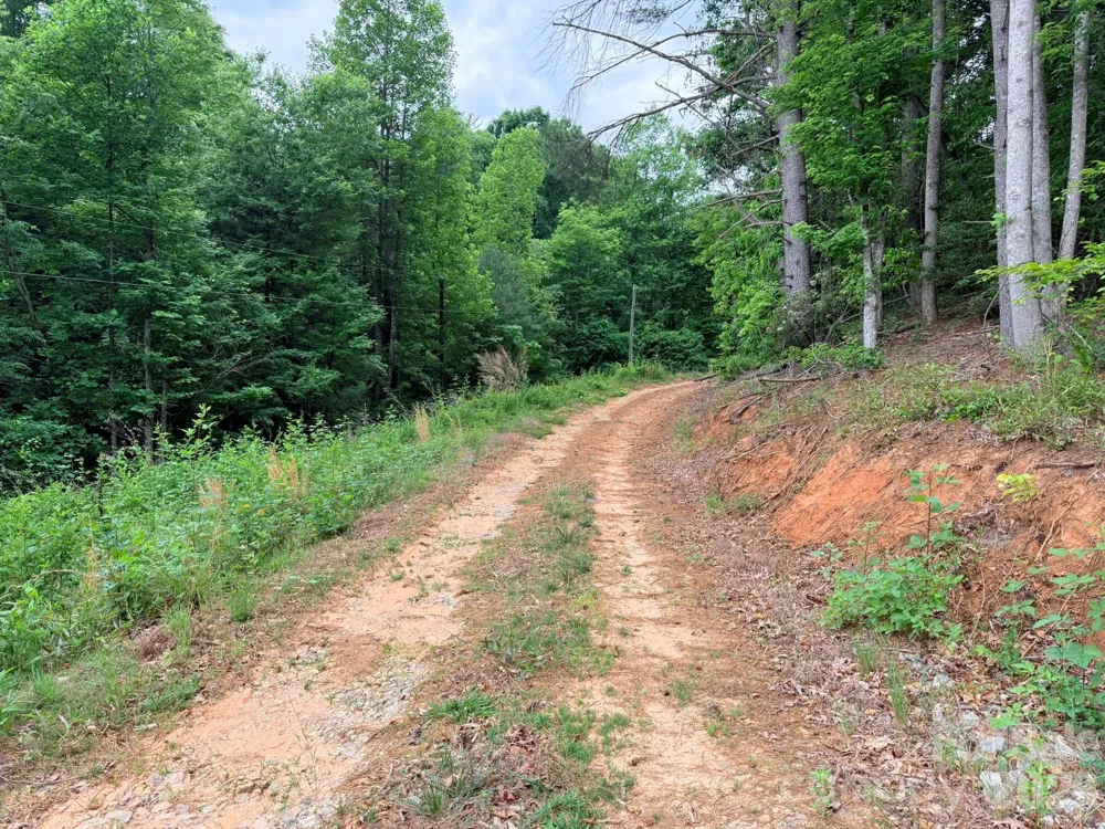 TBD Marley Ford Road Ferguson, NC 28624