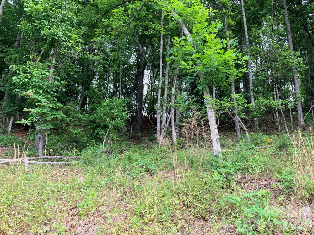 TBD Marley Ford Road Ferguson, NC 28624