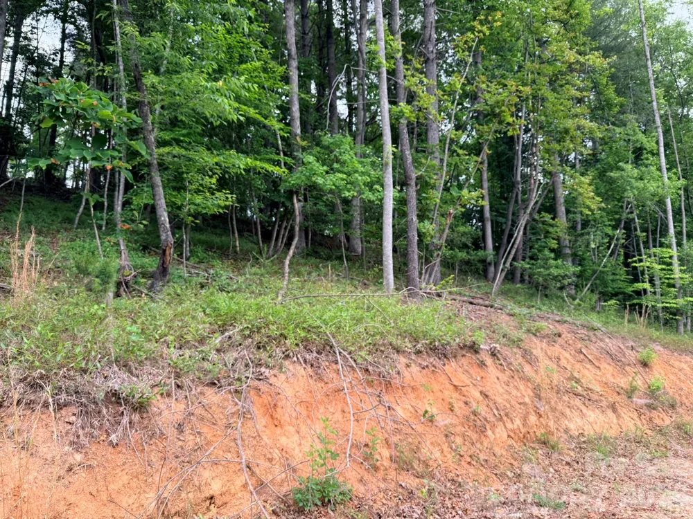 TBD Marley Ford Road Ferguson, NC 28624