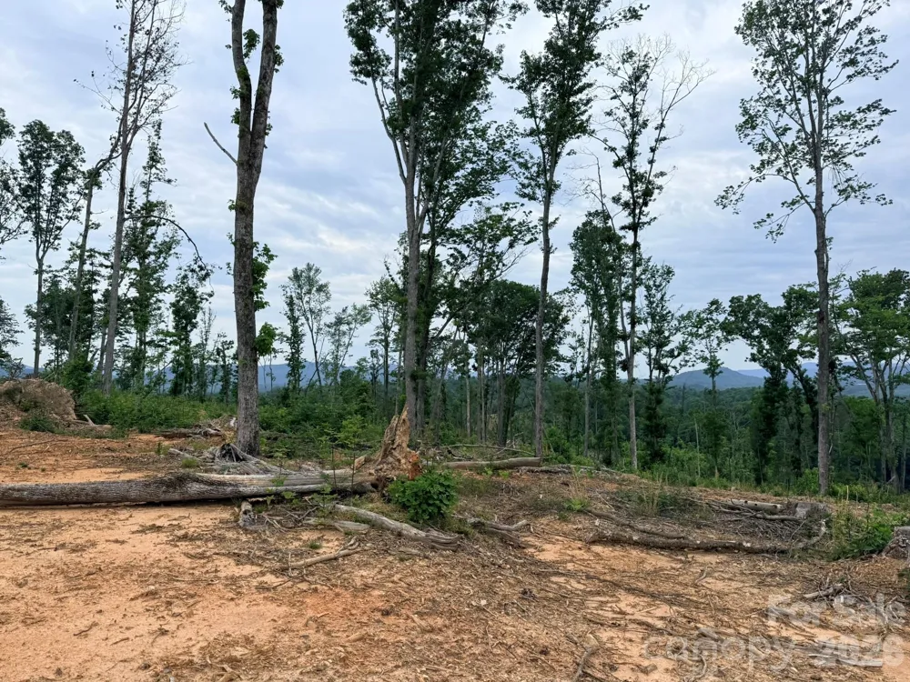 TBD Marley Ford Road Ferguson, NC 28624