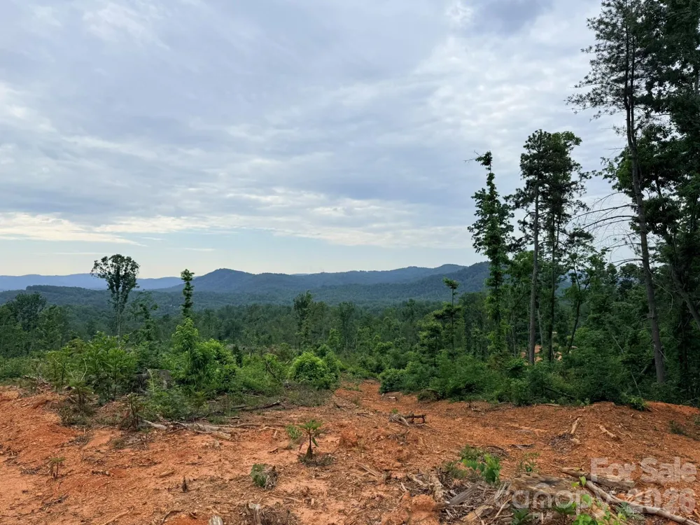 TBD Marley Ford Road Ferguson, NC 28624