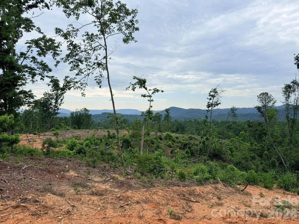 TBD Marley Ford Road Ferguson, NC 28624