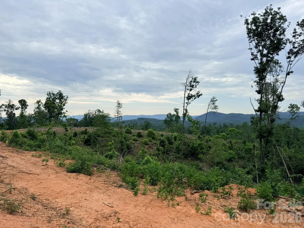 TBD Marley Ford Road Ferguson, NC 28624