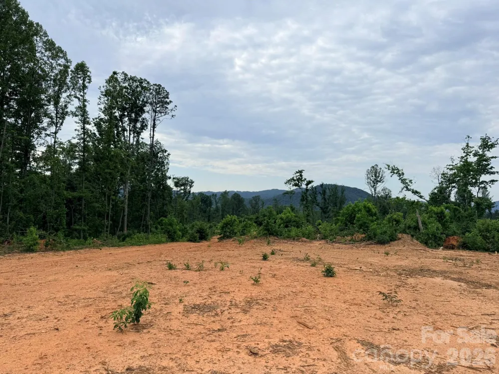 TBD Marley Ford Road Ferguson, NC 28624