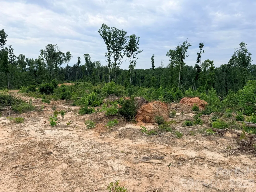 TBD Marley Ford Road Ferguson, NC 28624