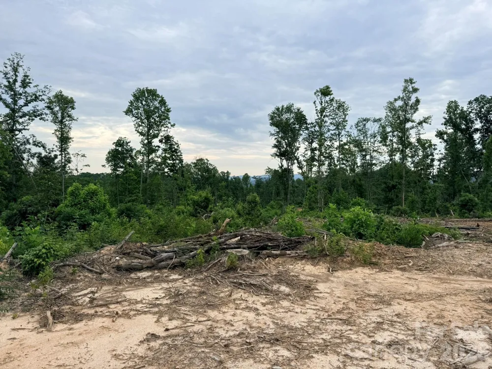 TBD Marley Ford Road Ferguson, NC 28624