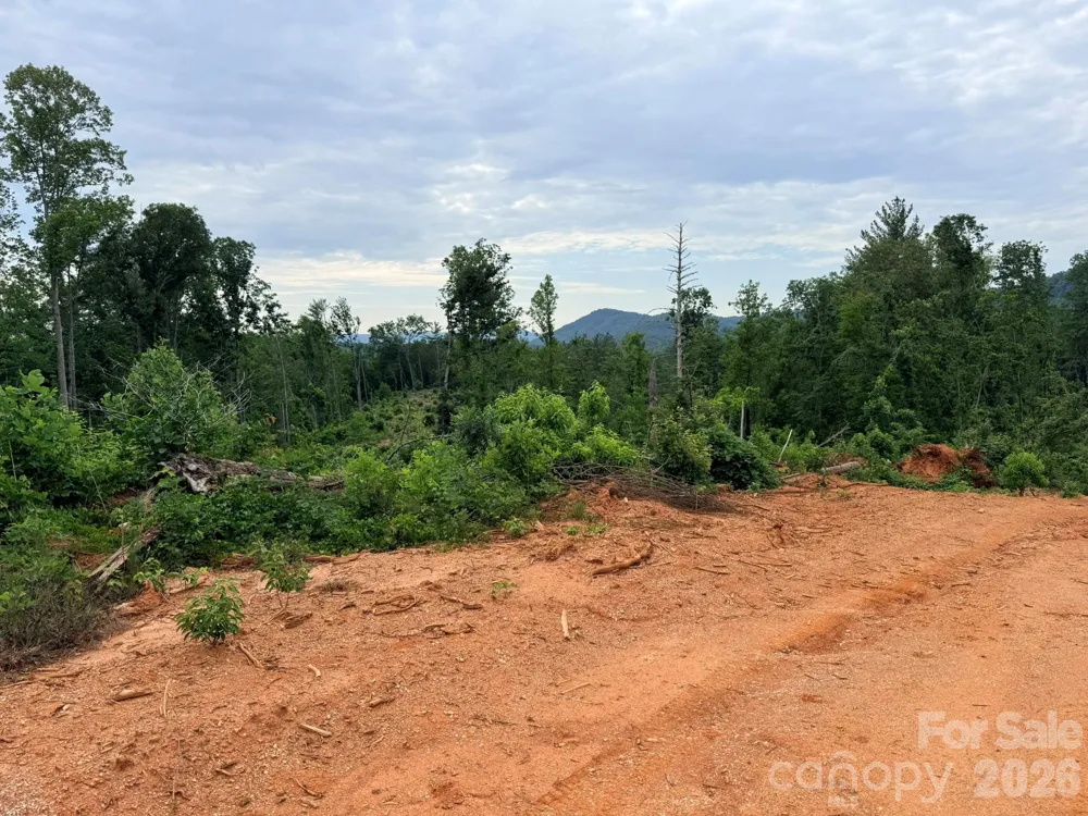TBD Marley Ford Road Ferguson, NC 28624