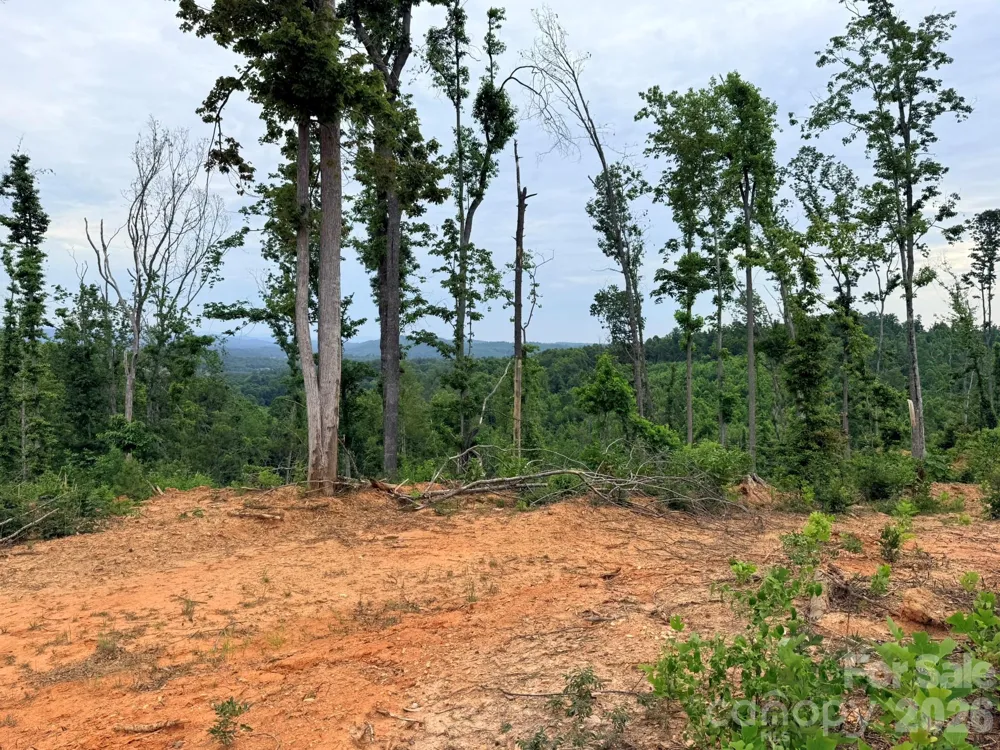 TBD Marley Ford Road Ferguson, NC 28624