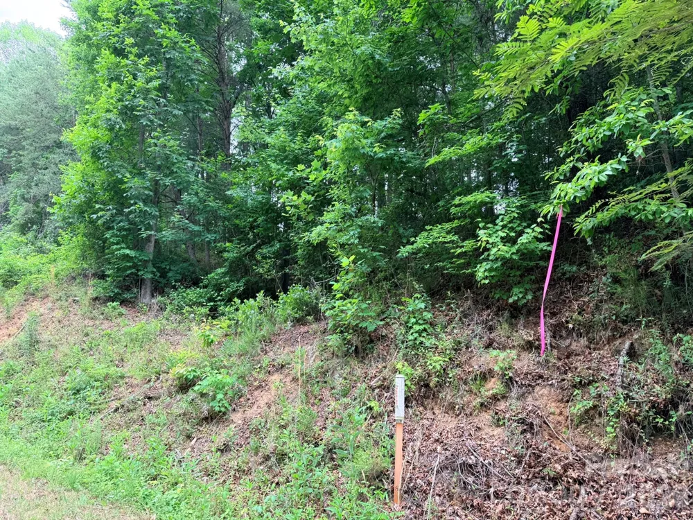 TBD Marley Ford Road Ferguson, NC 28624