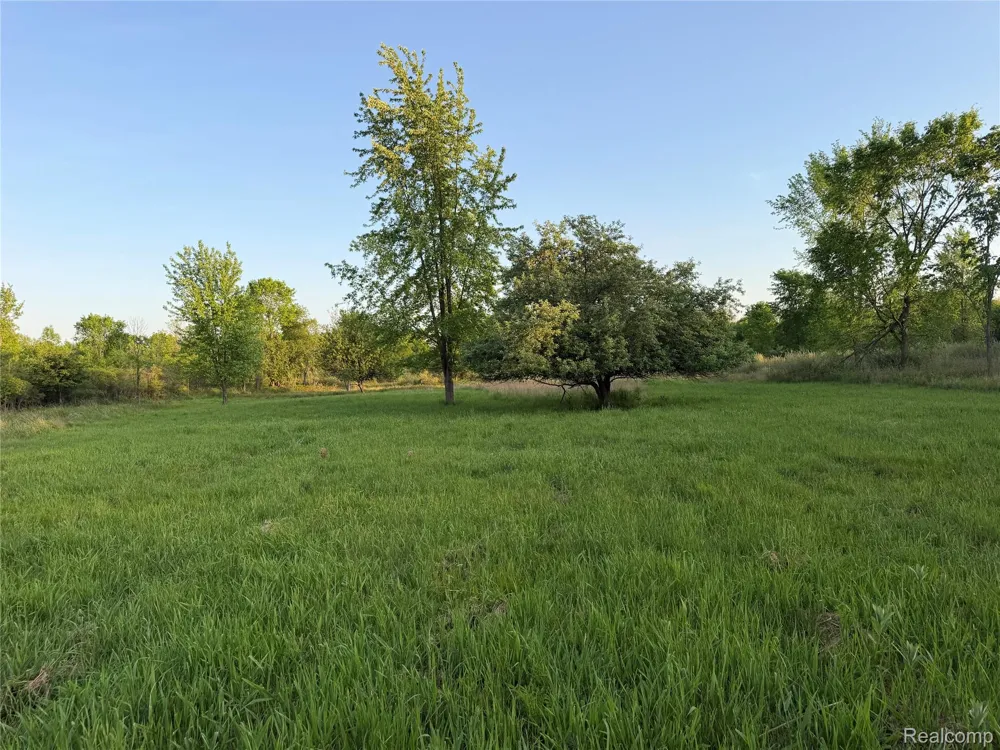 Jeddo Lynn Township, MI 48416