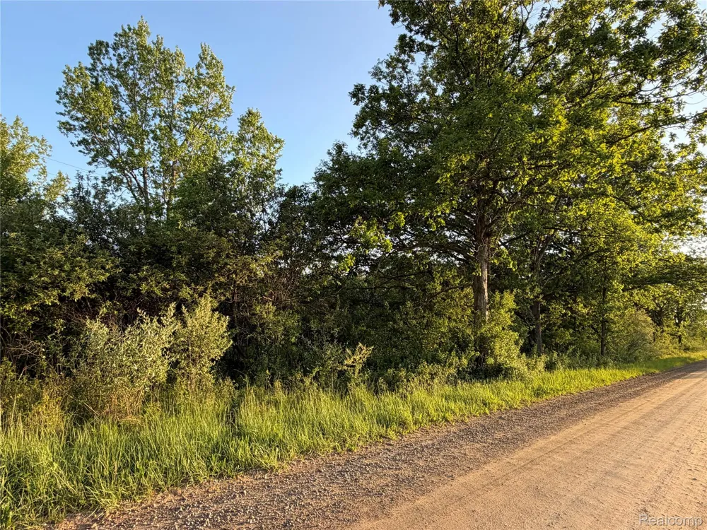 Jeddo Lynn Township, MI 48416