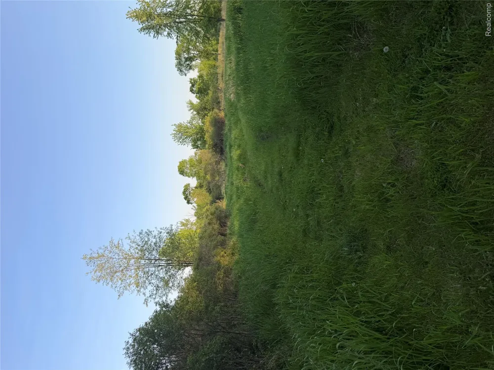 Jeddo Lynn Township, MI 48416