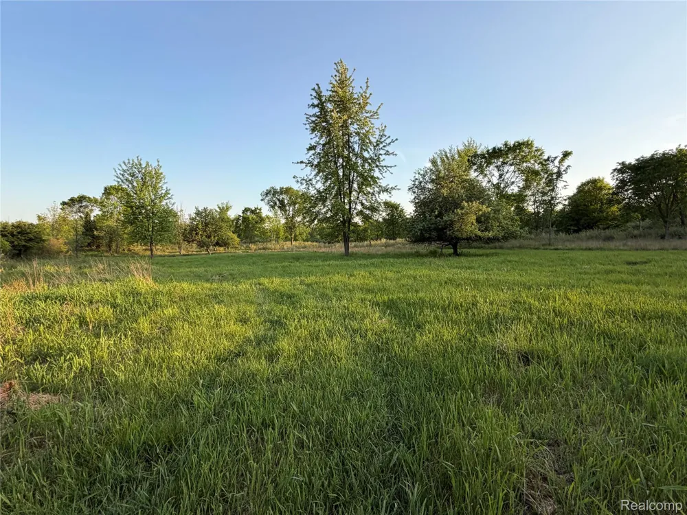Jeddo Lynn Township, MI 48416