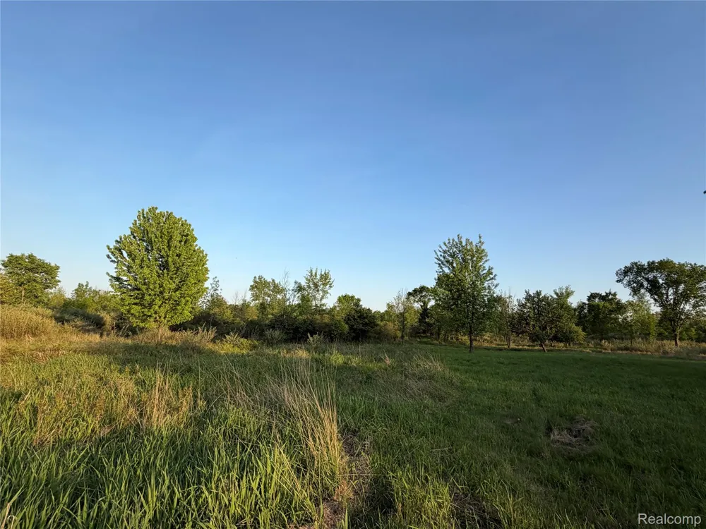 Jeddo Lynn Township, MI 48416