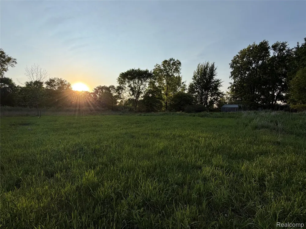 Jeddo Lynn Township, MI 48416