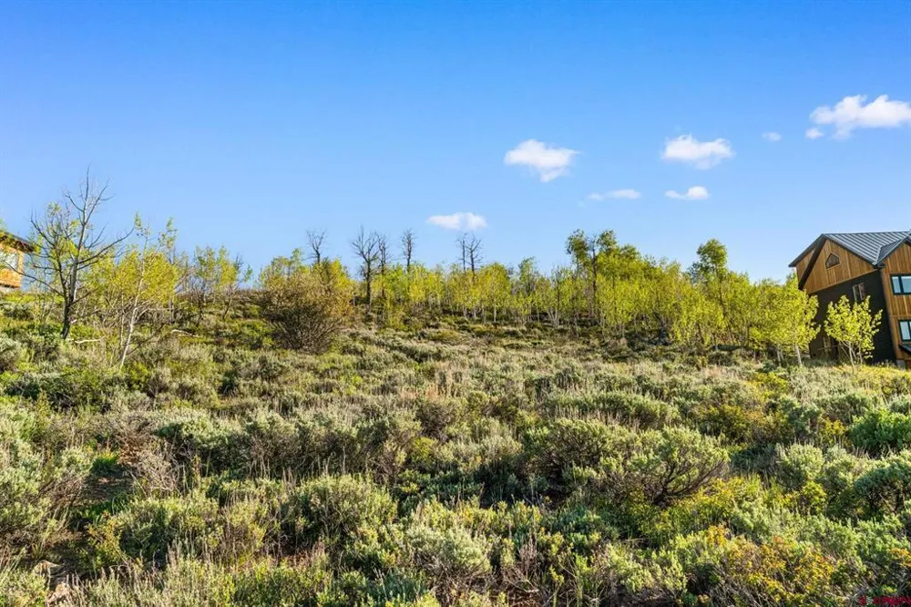 4482 Bryant Avenue Crested Butte, CO 81224