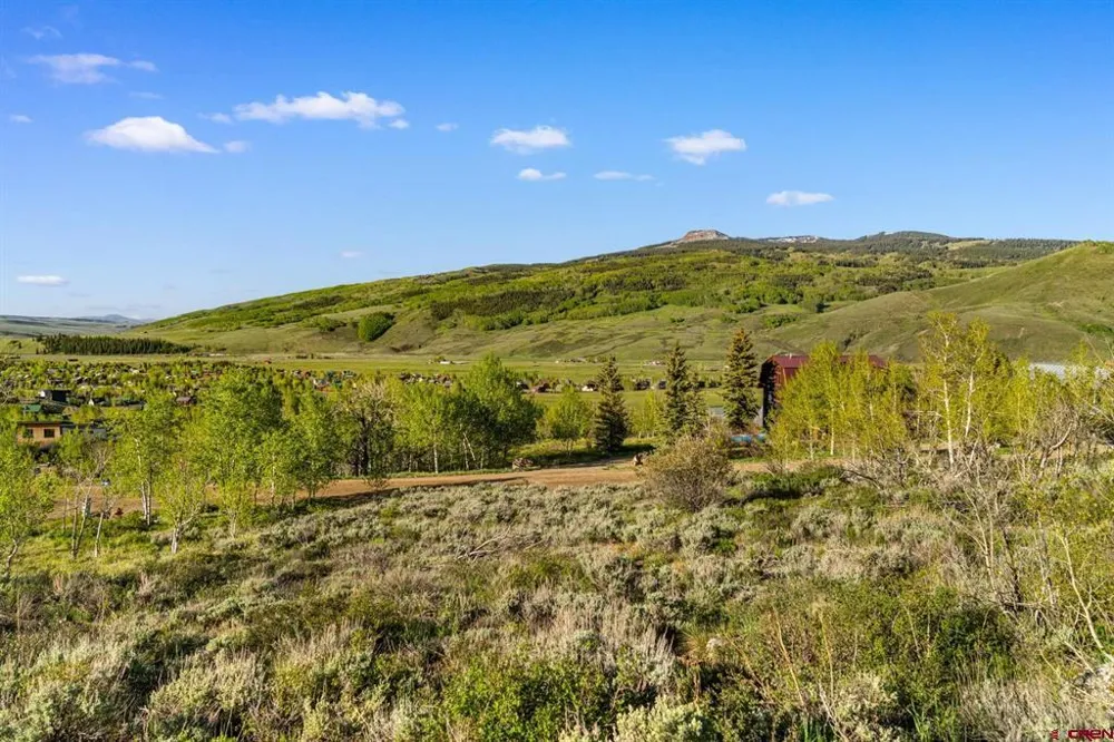 4482 Bryant Avenue Crested Butte, CO 81224