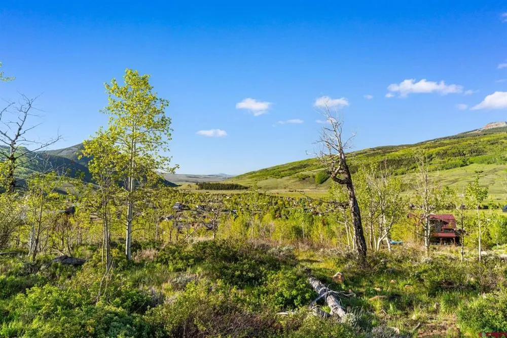 4482 Bryant Avenue Crested Butte, CO 81224