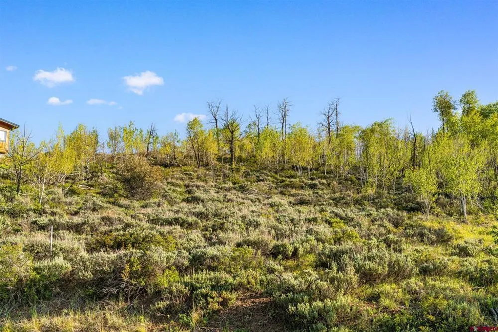 4482 Bryant Avenue Crested Butte, CO 81224