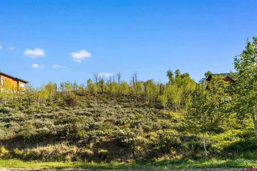 4482 Bryant Avenue Crested Butte, CO 81224