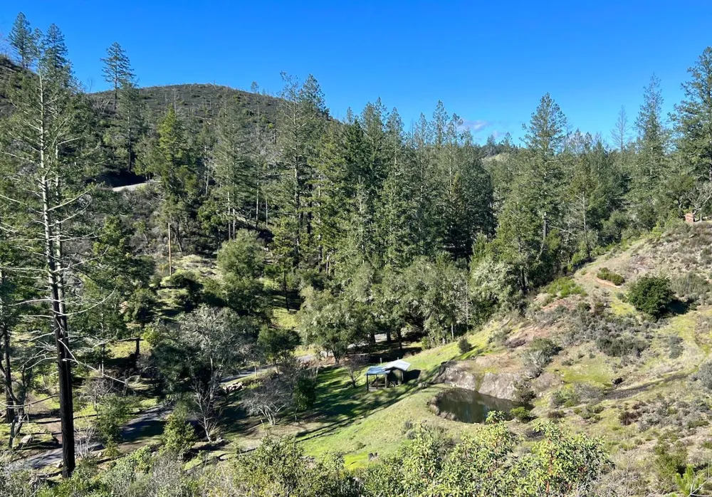 9501 Franz Valley School Road Calistoga, CA 94515