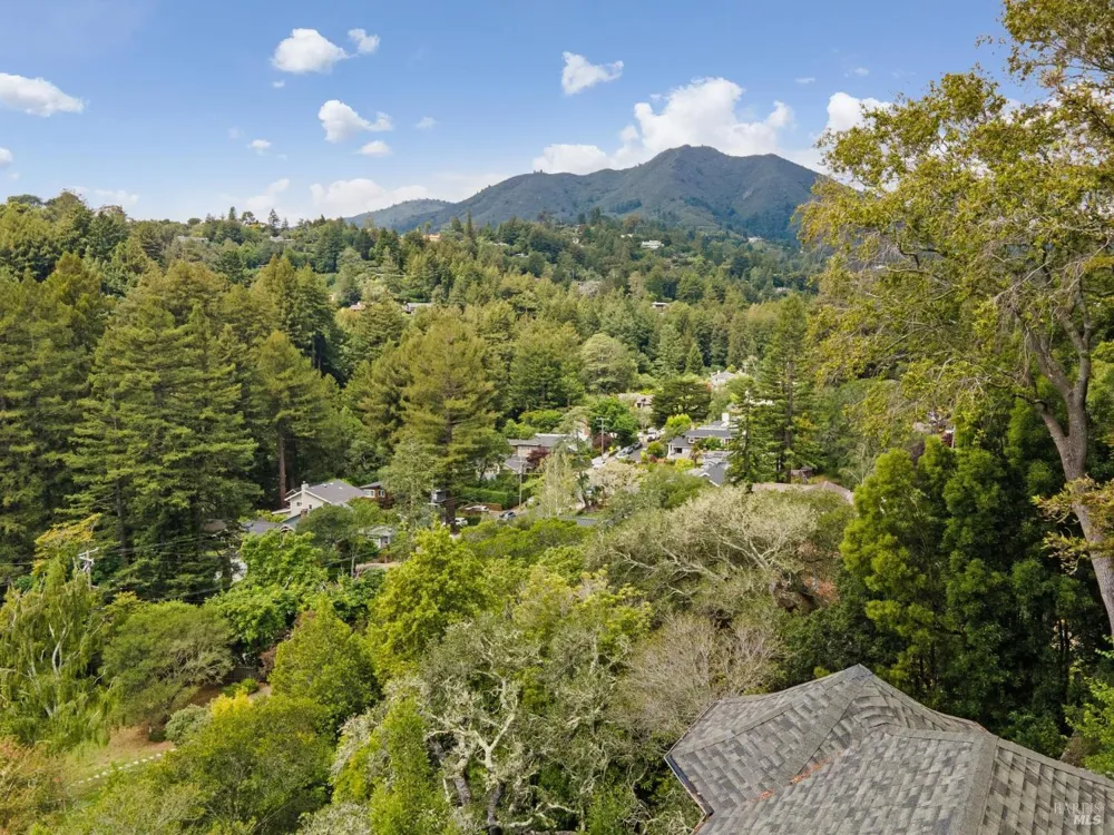 17 Coronet Avenue Mill Valley, CA 94941