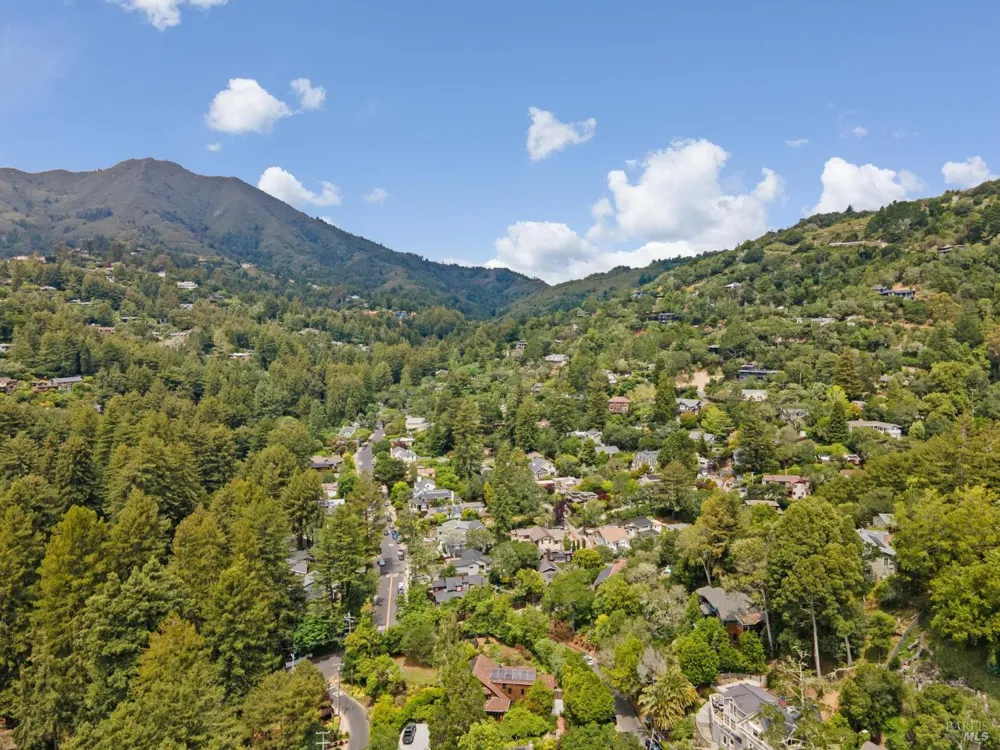 17 Coronet Avenue Mill Valley, CA 94941