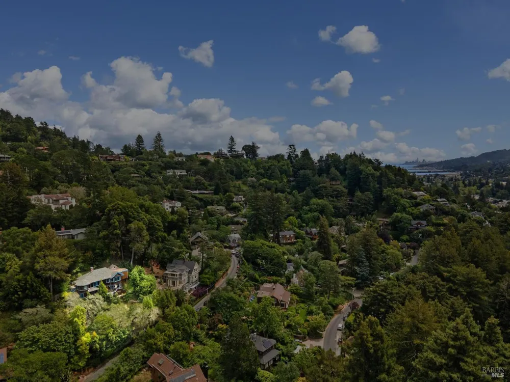 17 Coronet Avenue Mill Valley, CA 94941