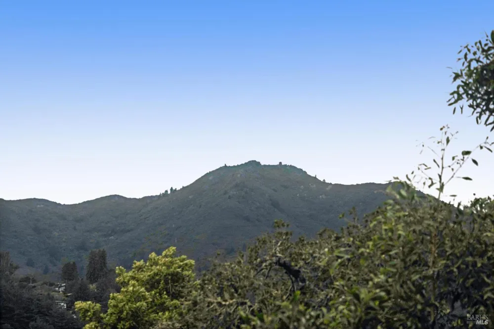 17 Coronet Avenue Mill Valley, CA 94941