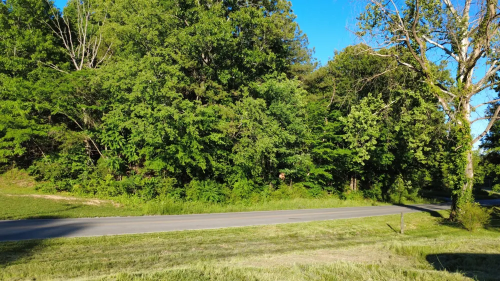 Cunningham Rd Spring City, TN 37381