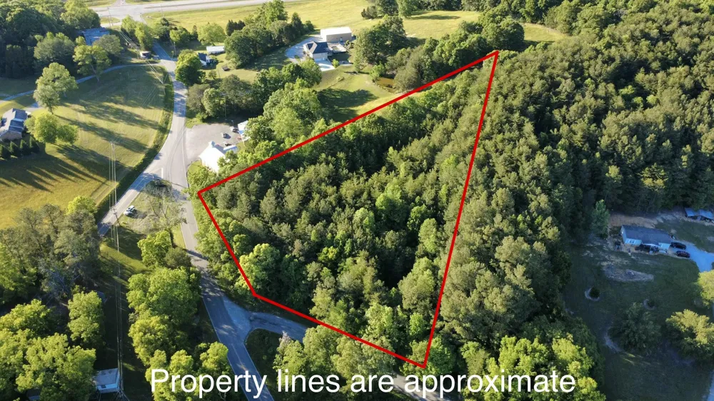 Cunningham Rd Spring City, TN 37381