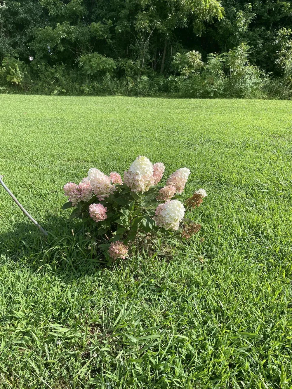 2276 County Rd 95 Higdon, AL 35979