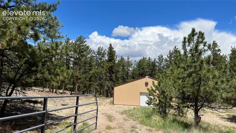 207 Little Bear Drive