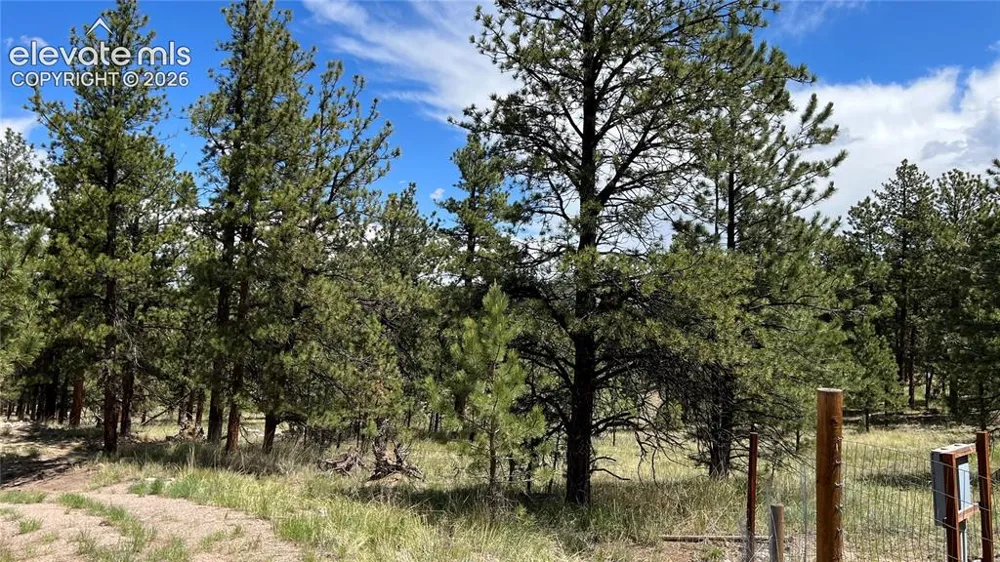 207 Little Bear Drive Westcliffe, CO 81252
