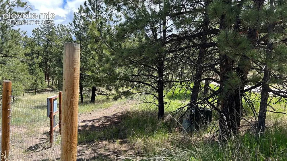 207 Little Bear Drive Westcliffe, CO 81252