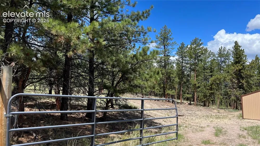 207 Little Bear Drive Westcliffe, CO 81252
