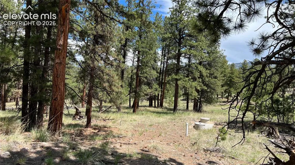 207 Little Bear Drive Westcliffe, CO 81252