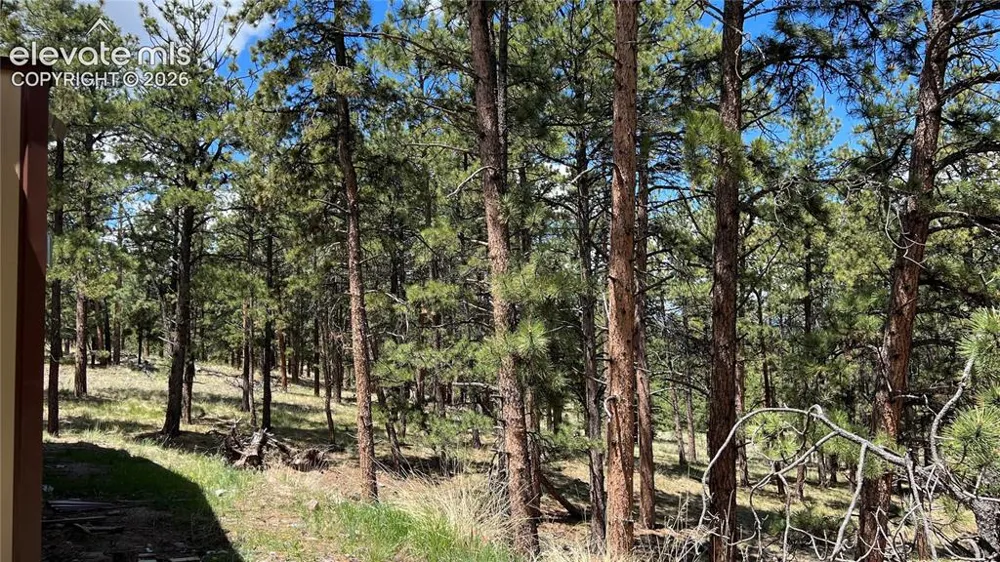 207 Little Bear Drive Westcliffe, CO 81252