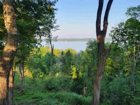 Torch Hills Lane