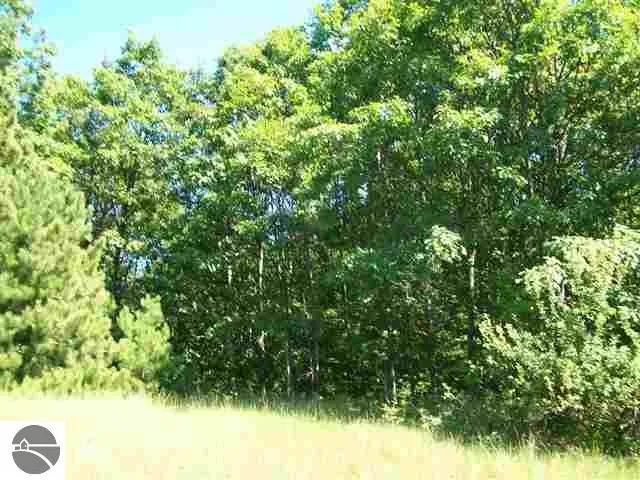 Torch Hills Lane Milton Township, MI 49676