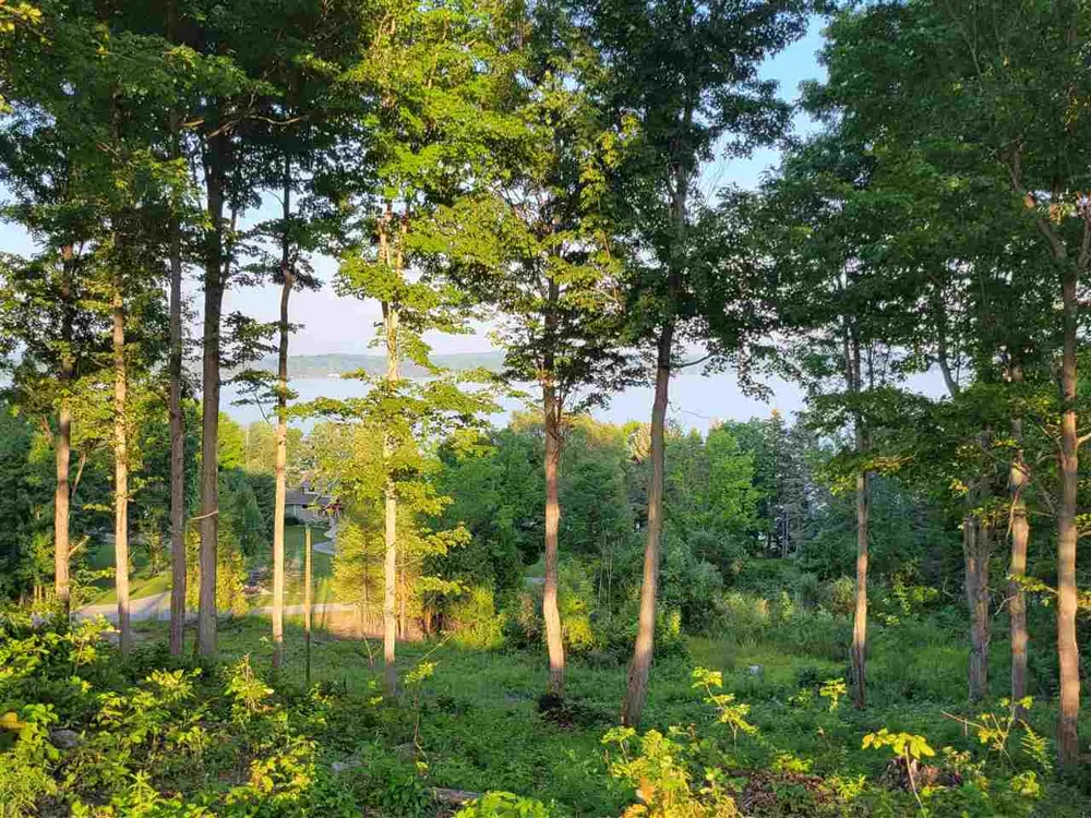 Torch Hills Lane Milton Township, MI 49676