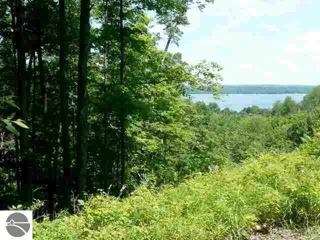 Torch Hills Lane Milton Township, MI 49676
