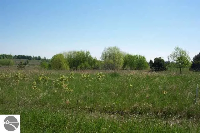 Torch Hills Lane Milton Township, MI 49676