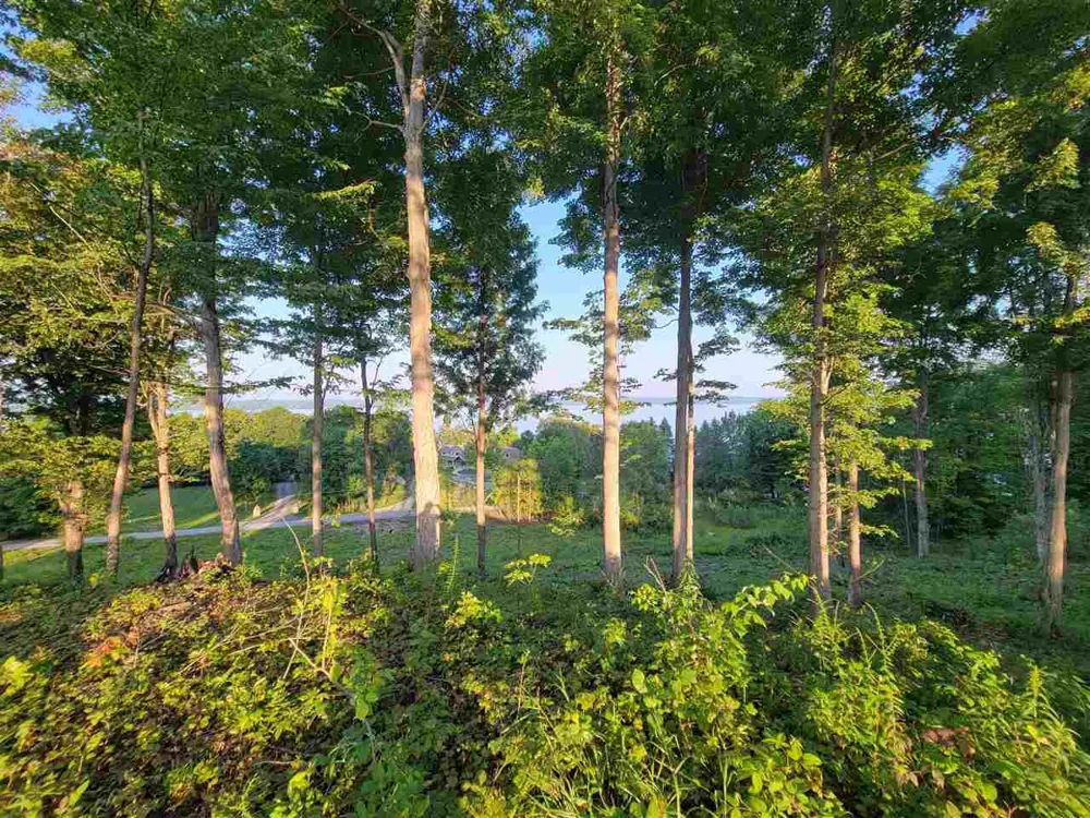 Torch Hills Lane Milton Township, MI 49676